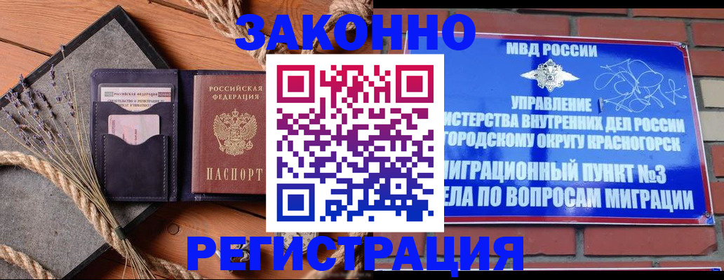 временная регистрация адрес в Железногорске